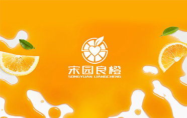 某良橙——常德LOGO设计